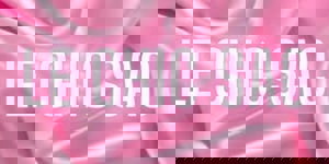 Le Chic Sac Boutique