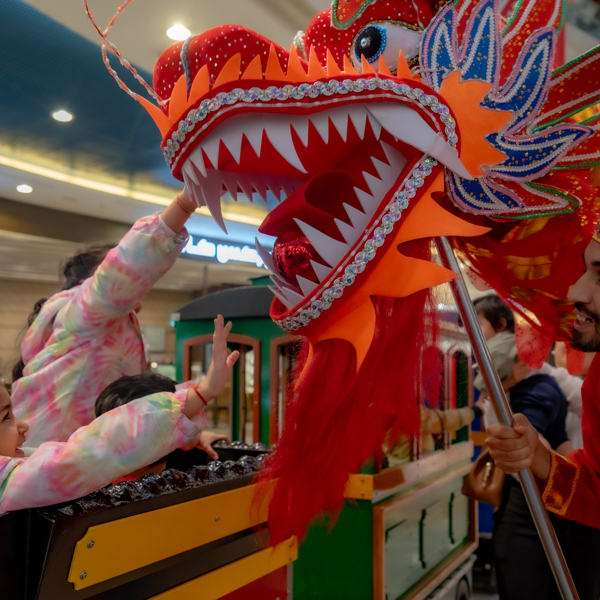 Chinese New Year 2025